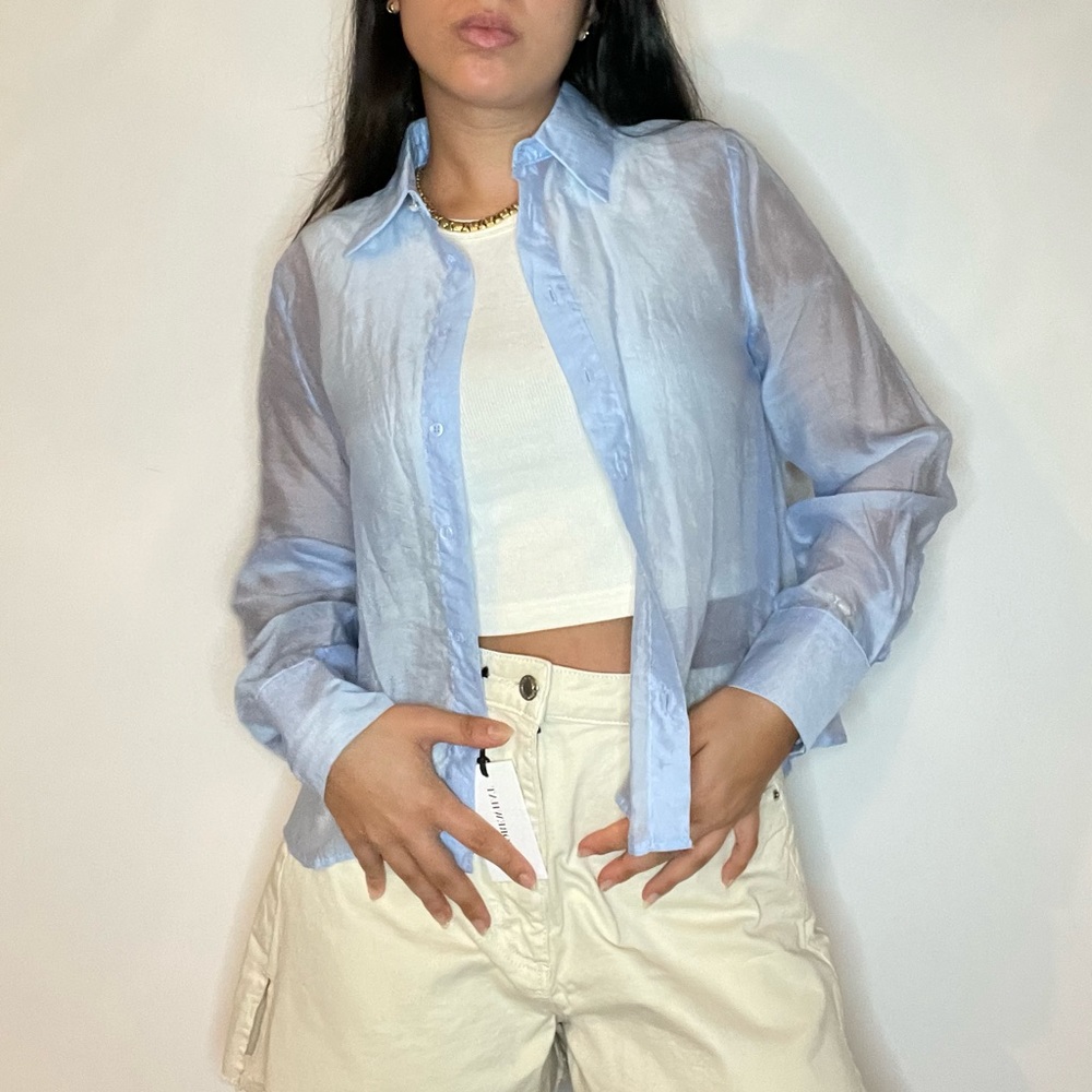 Zara sheer top with sleeve detail